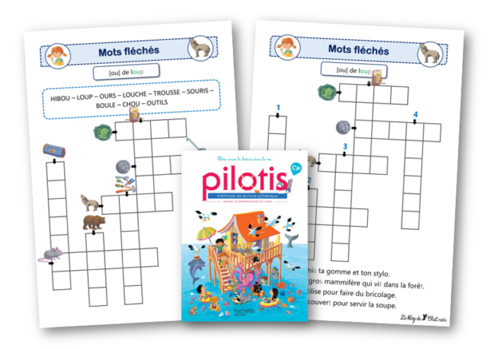 On Le Suit A Skis Mots Fléchés