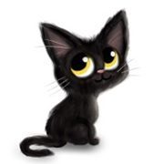 Le blog de Chat noir